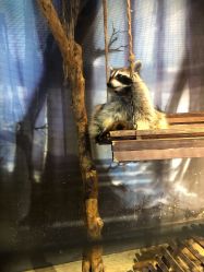 -酷嗒动物文化乐园(cutezoo西溪乐天城店)