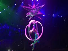 -珠海横琴长隆《卡卡虎奇遇记》