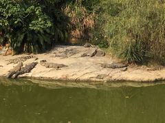 -南昌动物园