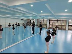 -西安小天鹅艺术团(曲江Alice店)