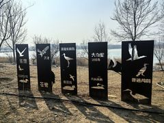 -绿堤公园