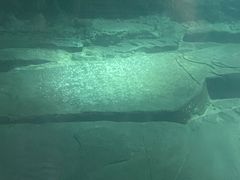 -白鹤梁水下博物馆