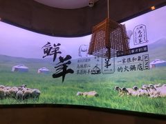 -九府羊·鲜羊火锅·烤串(新华路店)