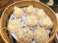 -莱莱小笼·乔艾