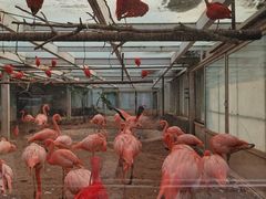 -石家庄市动物园