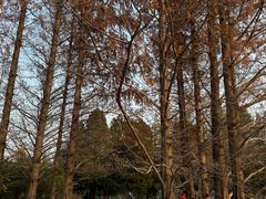 -国家植物园南园