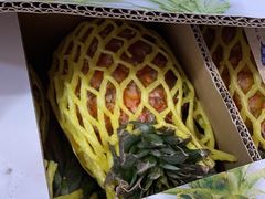 -西郊国际农产品交易中心