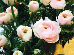 -杭州街角花屋花店(闻堰店)