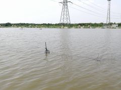 -梁鸿国家湿地公园