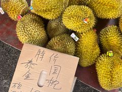 -海吉星市场