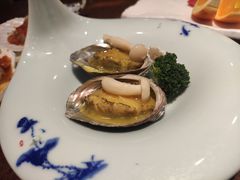-黑松白鹿(新活馆店)