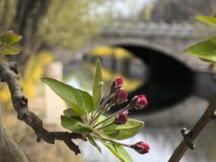 -元大都城垣遗址公园