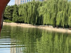 -团结湖公园