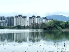 -飞来湖湿地公园