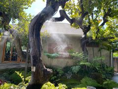 -Chom Cafe and Restaurant