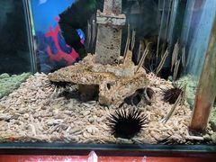 -太平洋海底世界