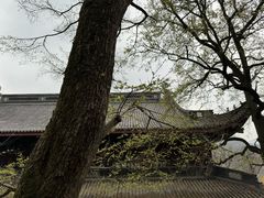 -灵隐飞来峰景区