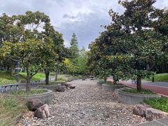 -上海山野camping·户外天幕烧烤·团建拓展营地