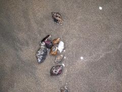 -东极岛景区