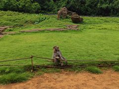 -海南热带野生动植物园