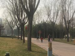 -唐城墙遗址公园