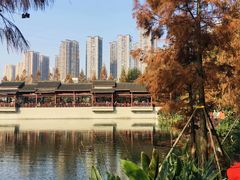 -重庆彩云湖湿地公园