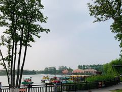 -上海长兴岛郊野公园