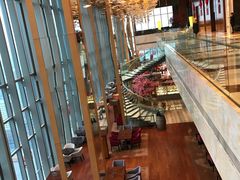 大堂-视界美食自助餐厅·石家庄希尔顿酒店