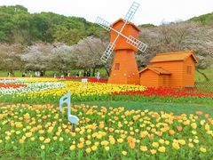 -苏州上方山国家森林公园