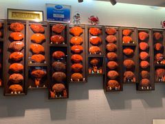 -龙海鲜螃蟹王(宏茂桥店)