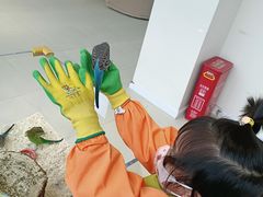 -怪兽屋·羊驼·猫咖·狗咖(俊华广场店)