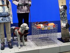 -迪卡侬(沙河店)