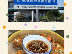 -七的湖·晚芳亭·阳澄湖农家菜·大闸蟹(莲花岛店)