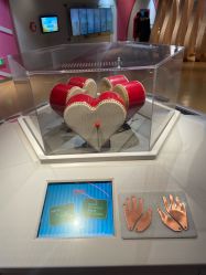 -北京科学中心儿童乐园