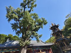 -青檀寺景区