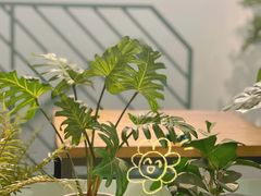 -塔拉苏咖啡(中信丹阳花园店)