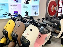 -九号电动车(安定门内大街店)