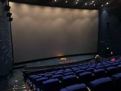 -春天国际影城(中庚漫游城杜比全景声店)