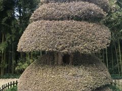 -苏州河梦清园环保主题公园