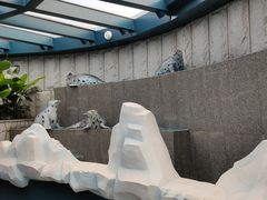 -青岛海底世界-水族馆