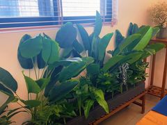 -小茶闲舍·观景商务茶馆(广州塔店)