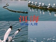 -大理洱海