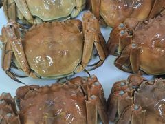 -锦粤宫·精致粤菜(深圳北站店)