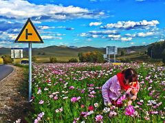 -塞罕坝国家级自然保护区