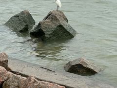 -深圳湾公园(南山区)