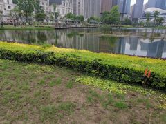 -花果园湿地公园