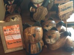 -猫咪博物馆(顶澳仔猫街店)