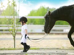 -月河湾马术俱乐部(朝阳店)