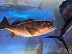 -陕西自然博物馆