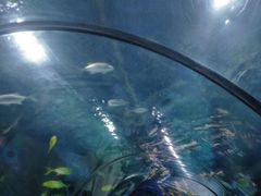 -福州罗源湾海洋世界旅游区